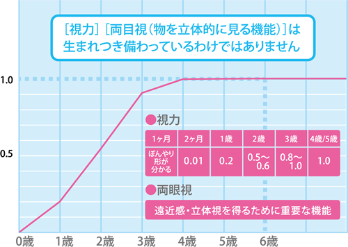 視機能の発達