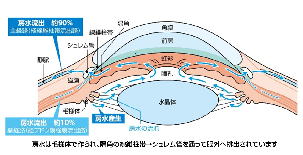 眼圧検査